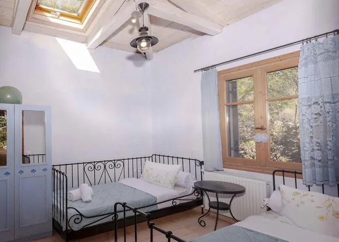 Mounty Island Avra-calma *