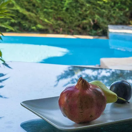 Mounty Island Avra-calma Villa *