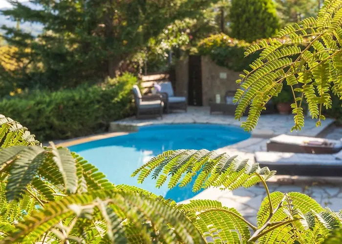 Willa Mounty Island Avra-calma *